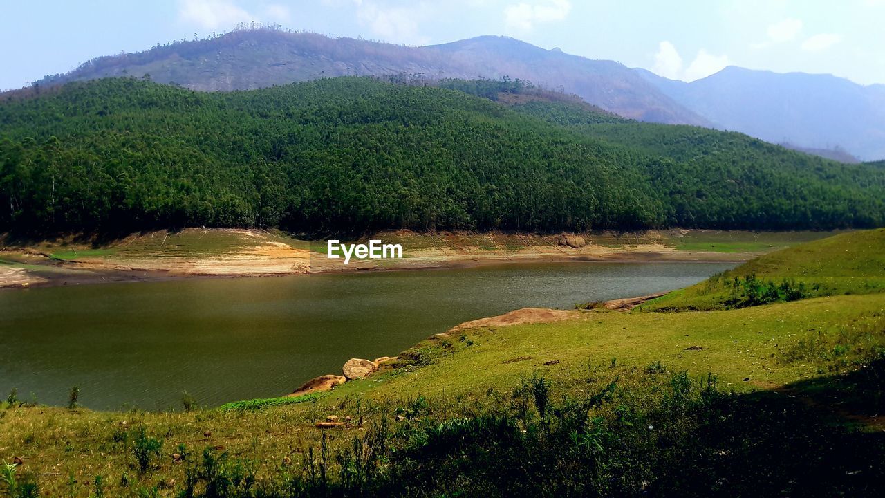 SCENIC VIEW OF LAKE IN FOREST