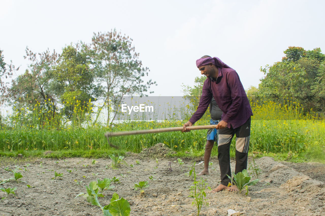 Farmer working in the field. india