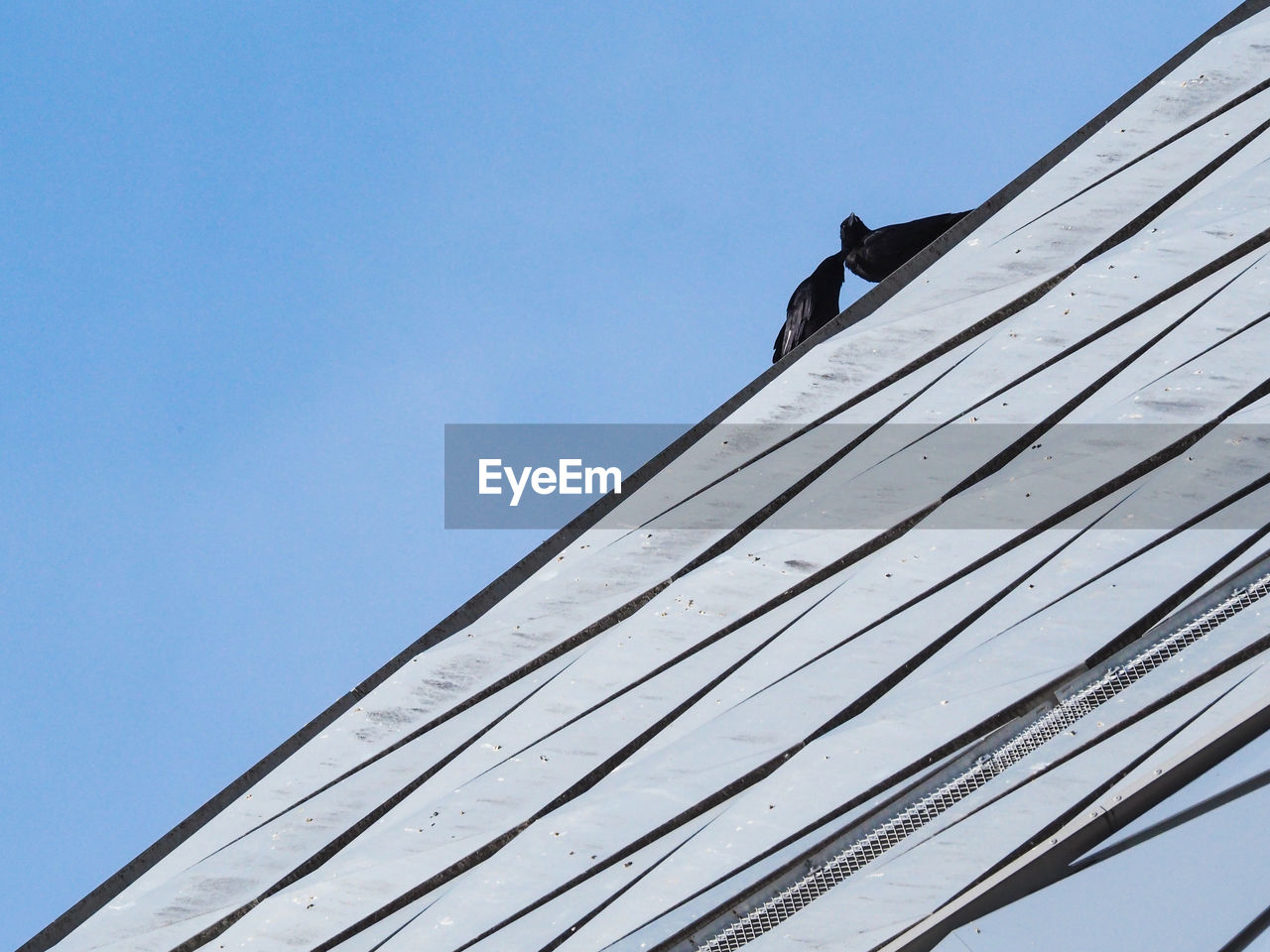 LOW ANGLE VIEW OF ROOF AGAINST SKY