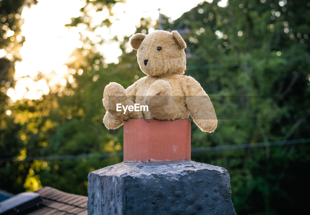 Stuffed bear on a chimney