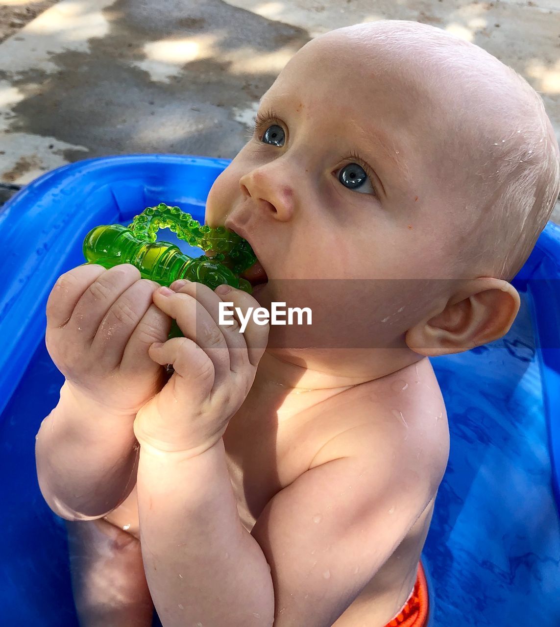 Close-up of shirtless baby boy playing with toy while sitting in bucket