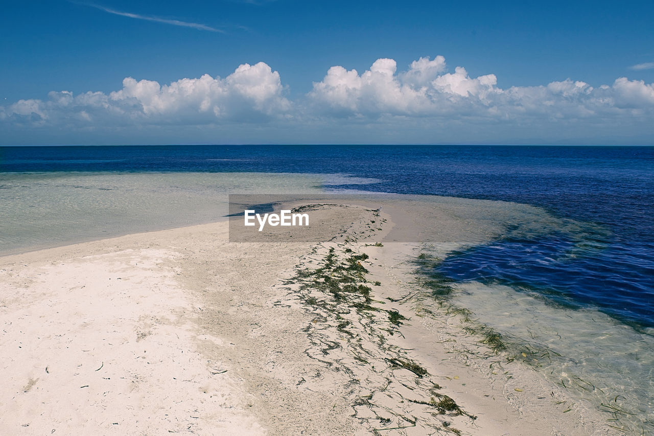 Cayo de las iguanas - cuba