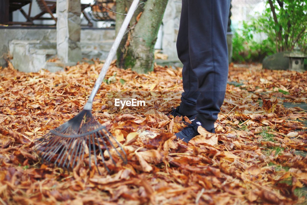 LOW SECTION OF MAN STANDING ON DRY AUTUMN LEAVES