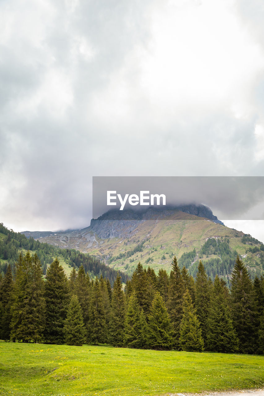 Natural landscape with green mountain peaks in summer