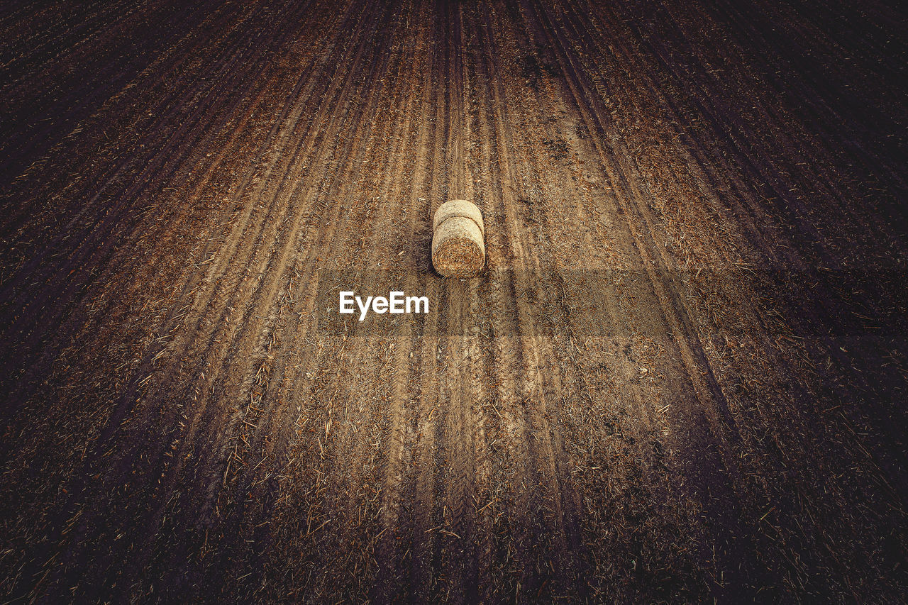 The lonely hayball