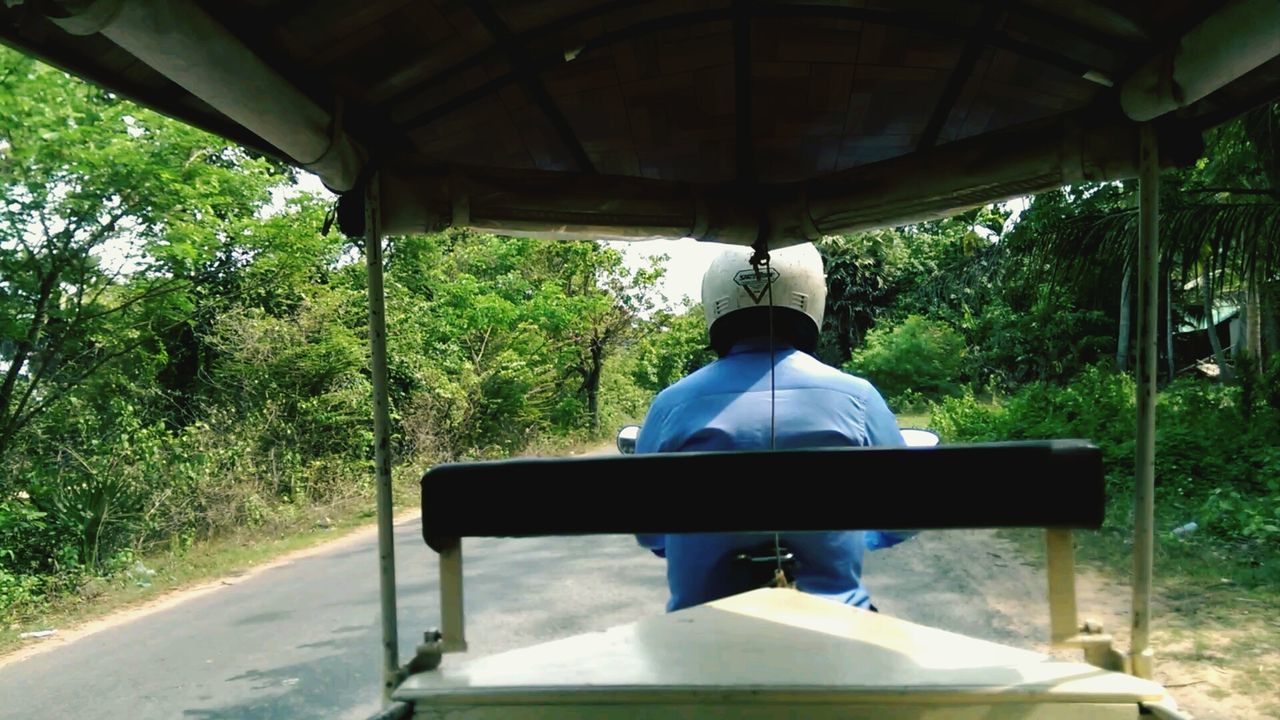 Rear view of man on country road along trees