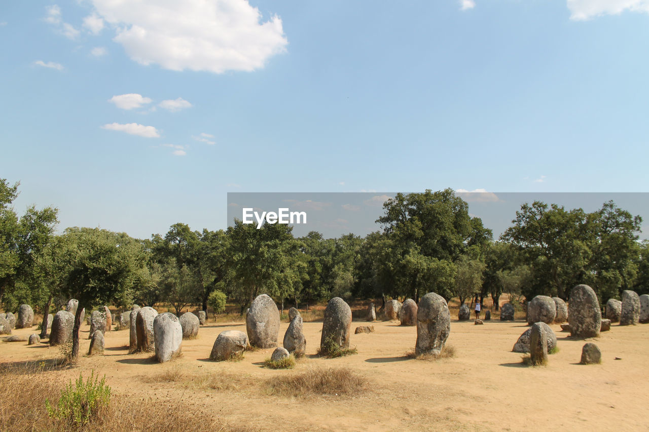Panoramic view of stone in a morning