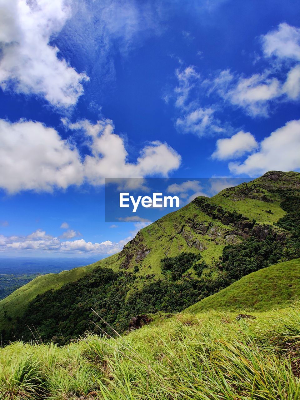 sky, cloud, environment, nature, landscape, scenics - nature, beauty in nature, plant, mountain, land, meadow, grass, green, grassland, no people, tranquility, mountain range, tranquil scene, non-urban scene, travel, travel destinations, highland, blue, tree, tourism, plateau, rural area, outdoors, day, idyllic, rural scene, forest, field, ridge, summer, plain, valley