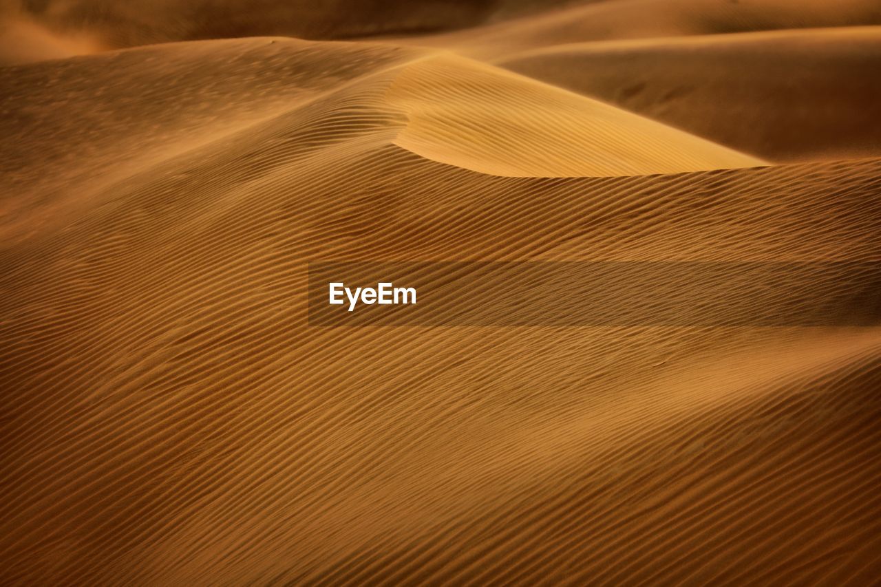 Full frame shot of sand dune