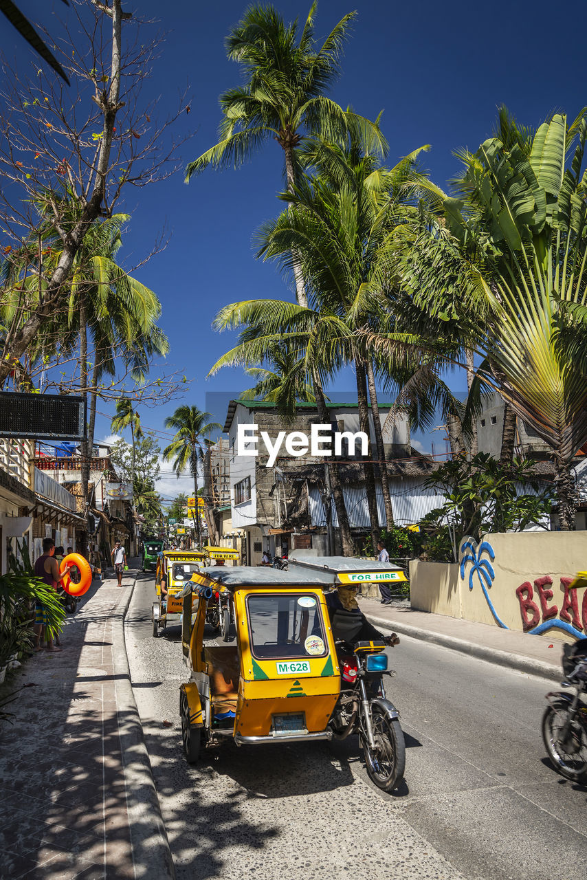 CARS ON ROAD BY PALM TREES