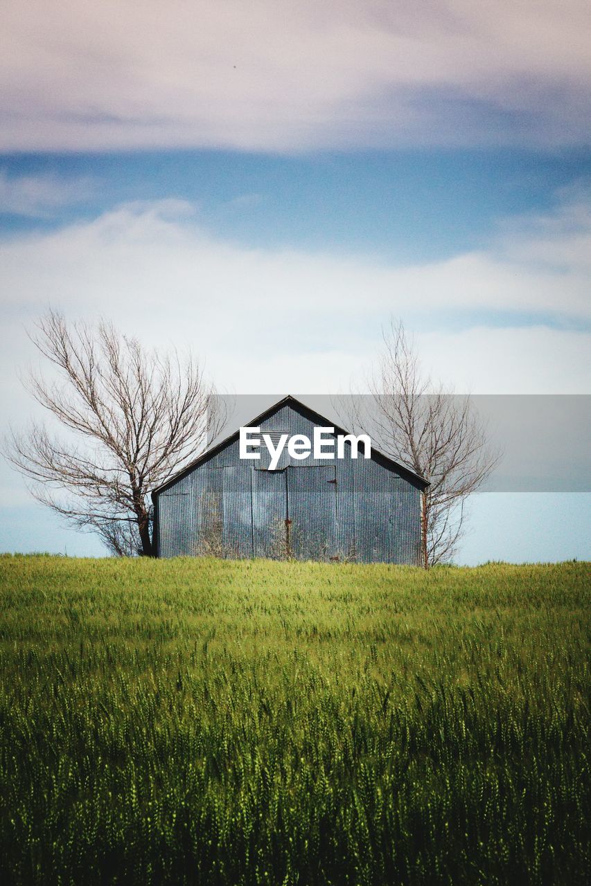 Barn and bare trees on grassy field against cloudy sky