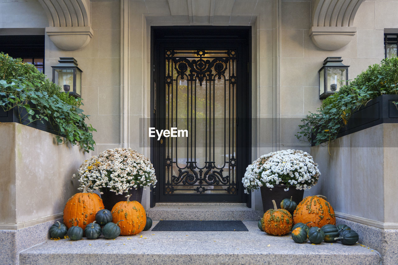 Beautiful front door of a house with an aristocratic family in the center of manhattan