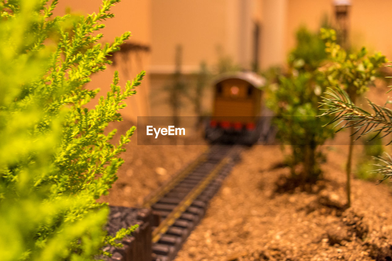 Plants by toy train