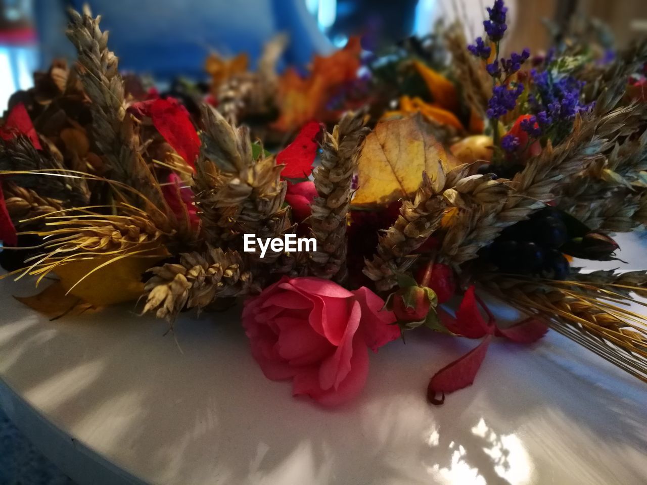 CLOSE-UP OF FLOWERS IN PLATE