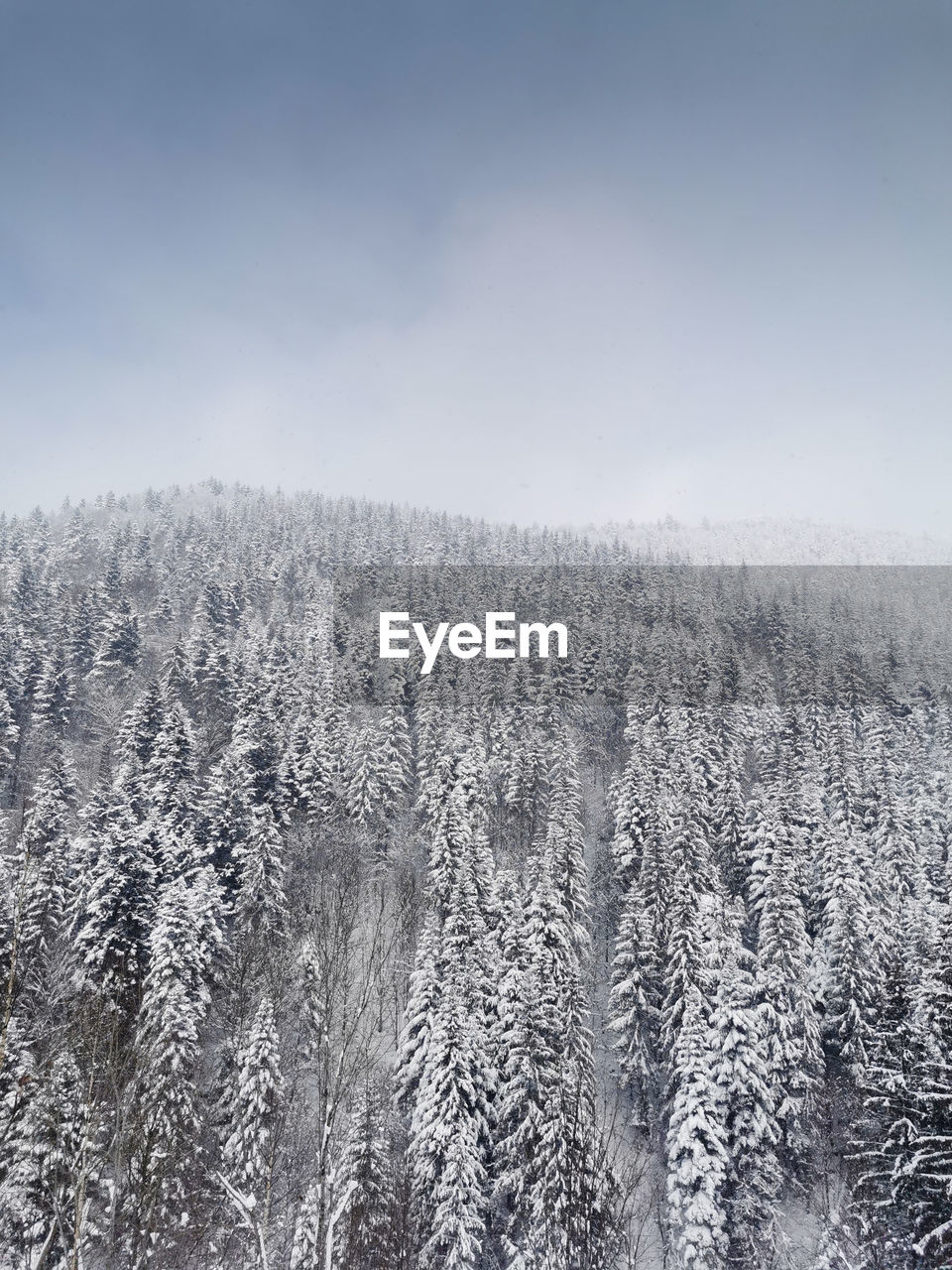 SNOW COVERED LAND AGAINST SKY