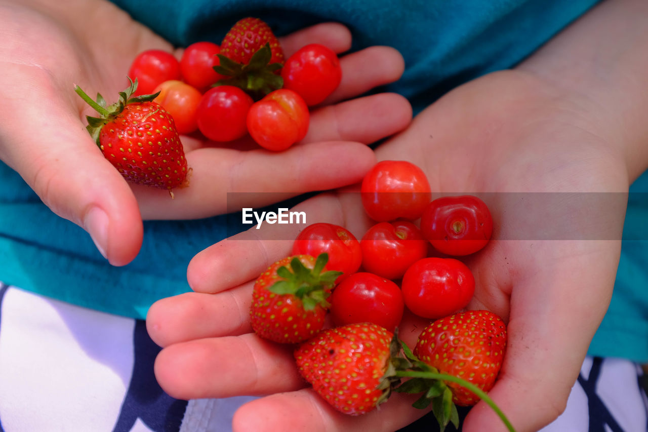 HIGH ANGLE VIEW OF STRAWBERRIES IN HAND HOLDING CHERRIES