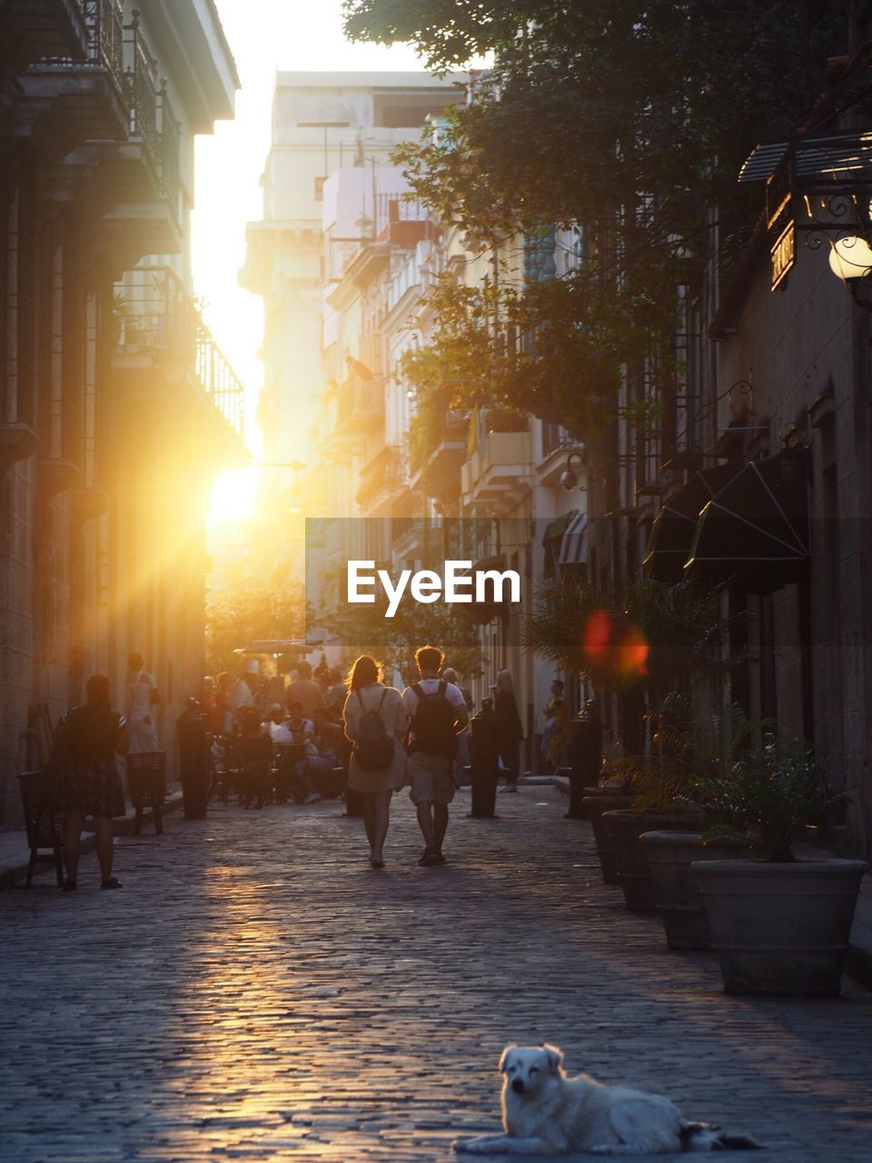 PEOPLE WALKING ON STREET IN CITY AGAINST SKY