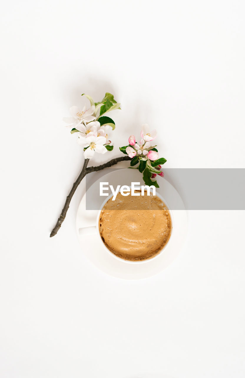 Cup of coffee with foam in a white porcelain and a branch of apple blossoms on a white background