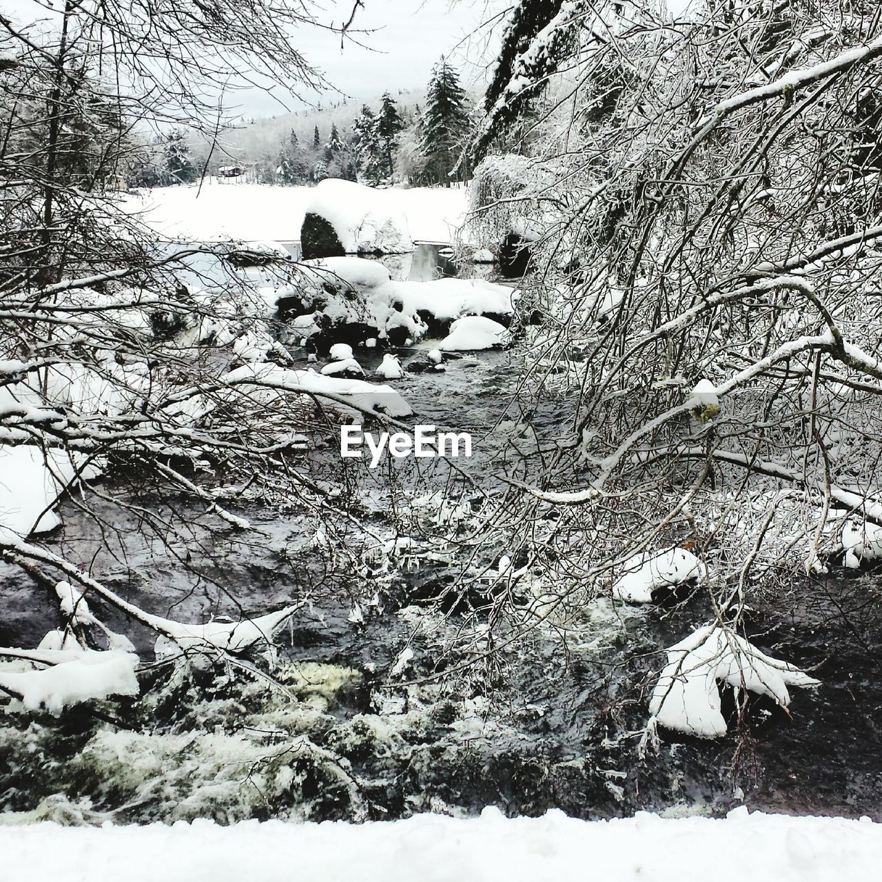 Stream by snow covered field