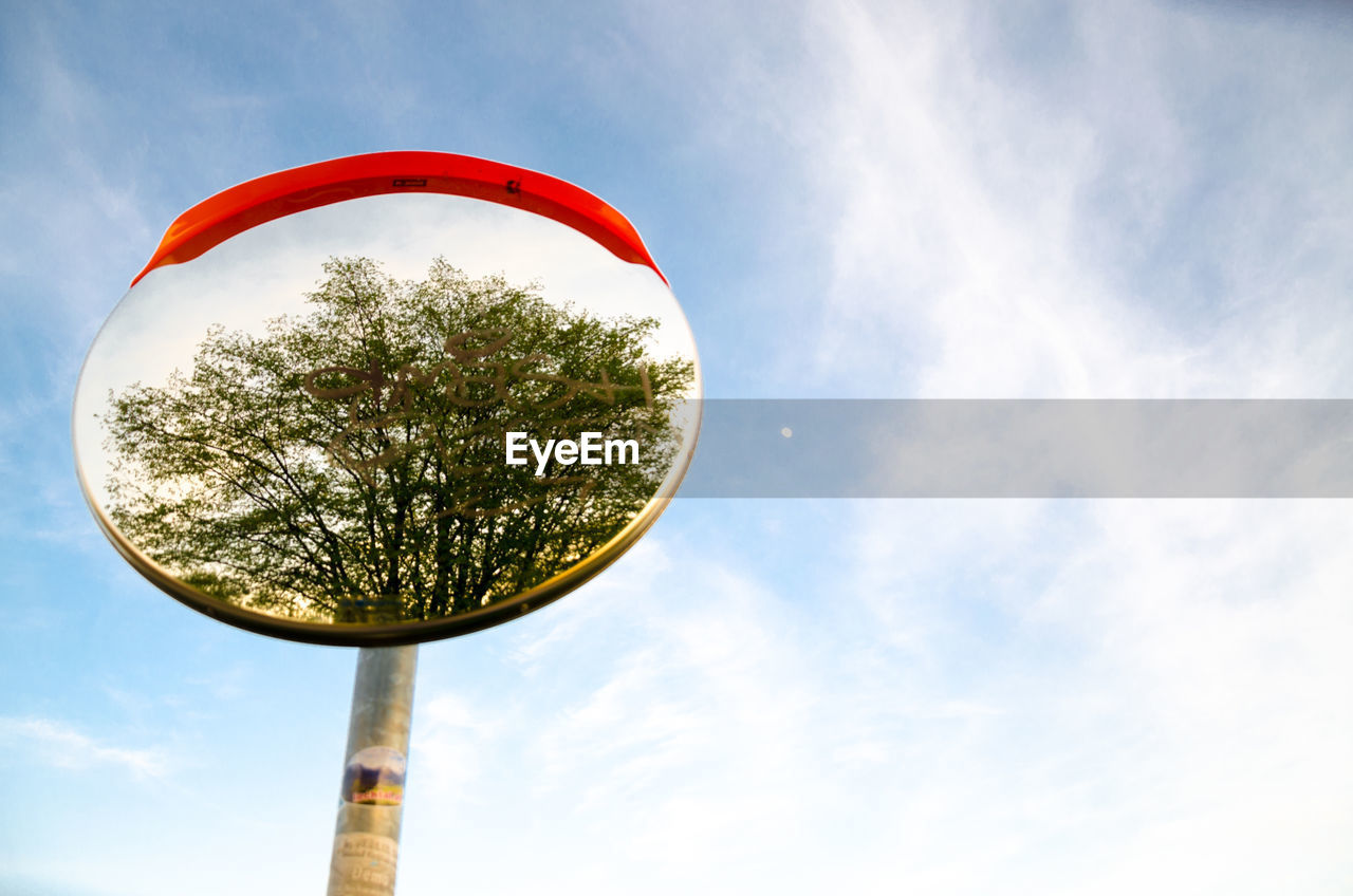 LOW ANGLE VIEW OF TREE AND SKY