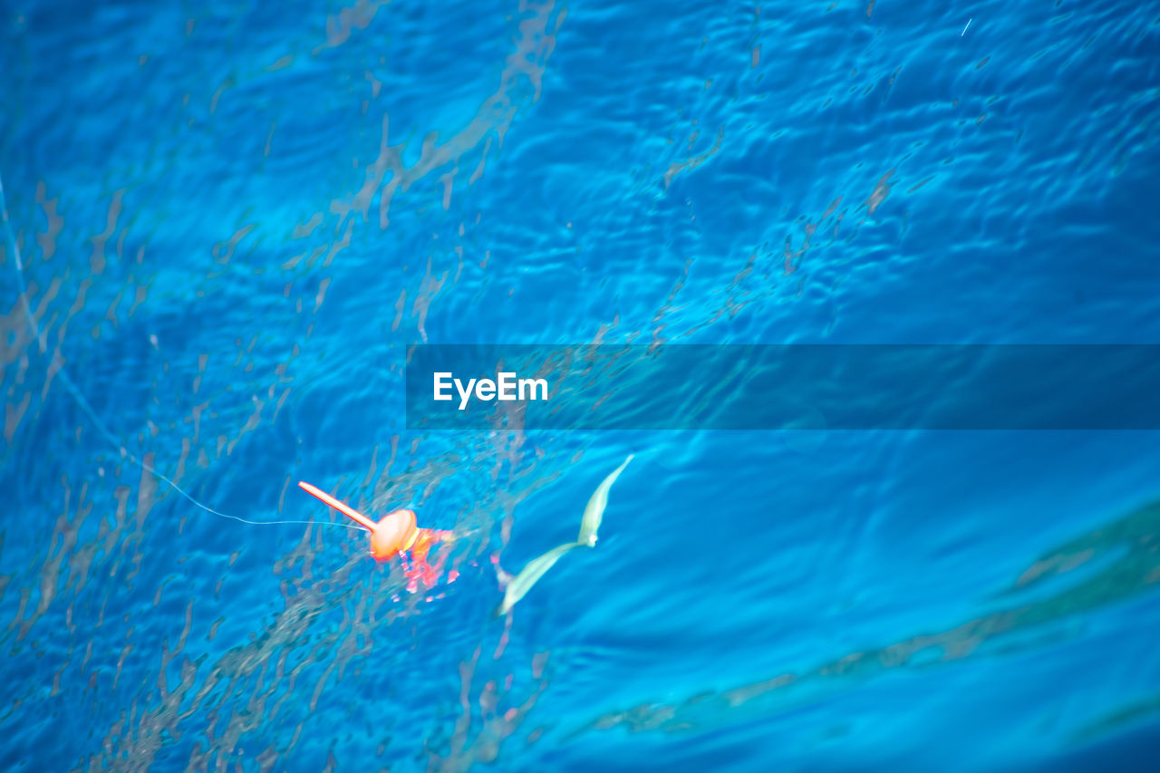 high angle view of woman swimming in sea