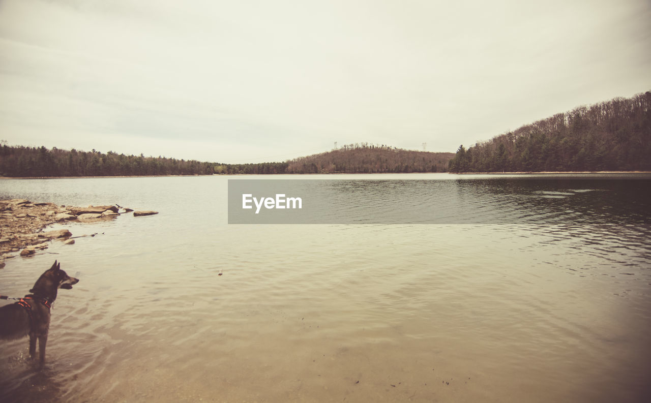 REFLECTION OF MAN IN LAKE