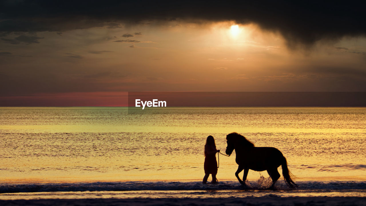 SILHOUETTE OF HORSE ON BEACH AGAINST SUNSET SKY