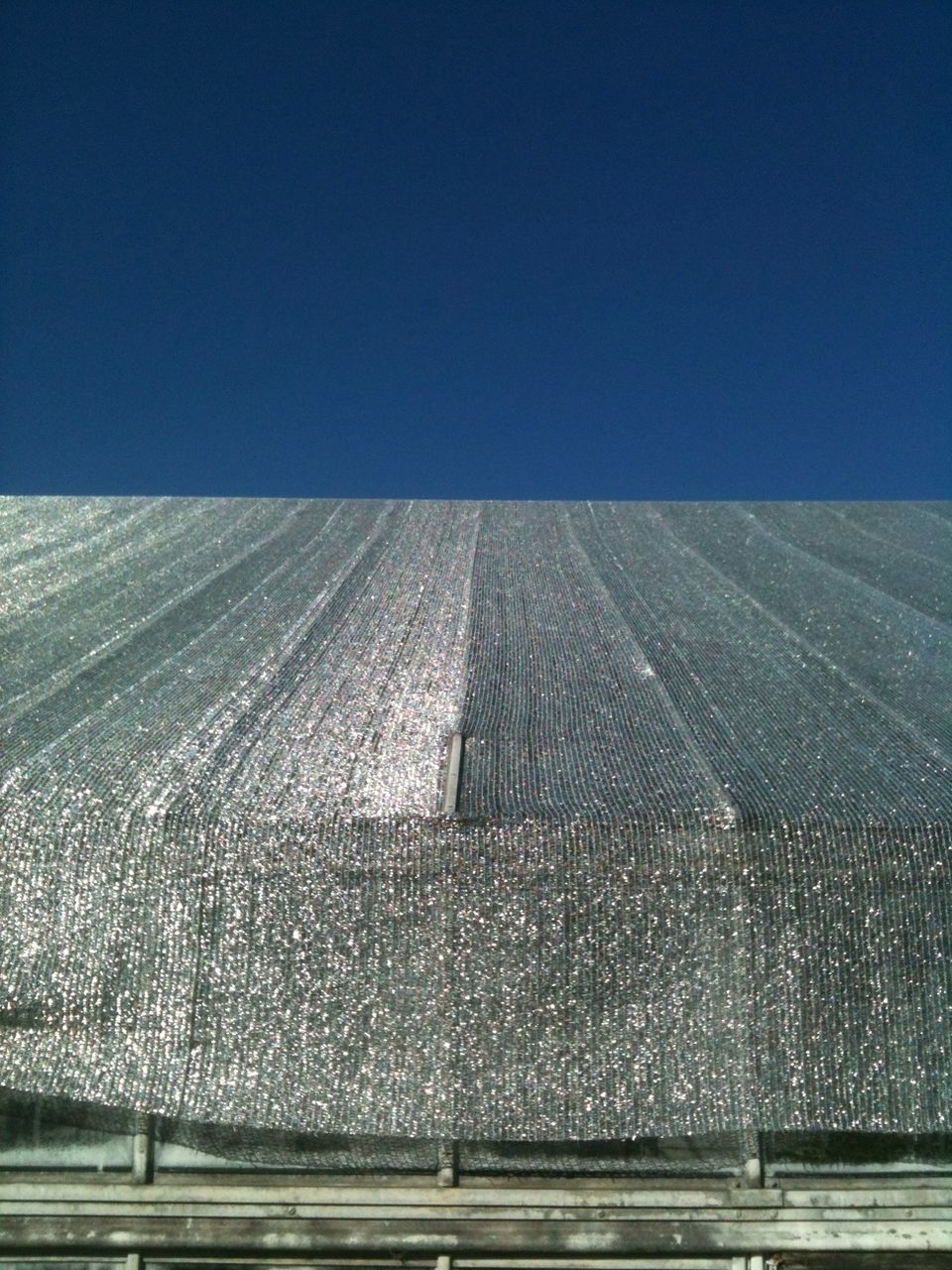 VIEW OF TREES AGAINST CLEAR BLUE SKY