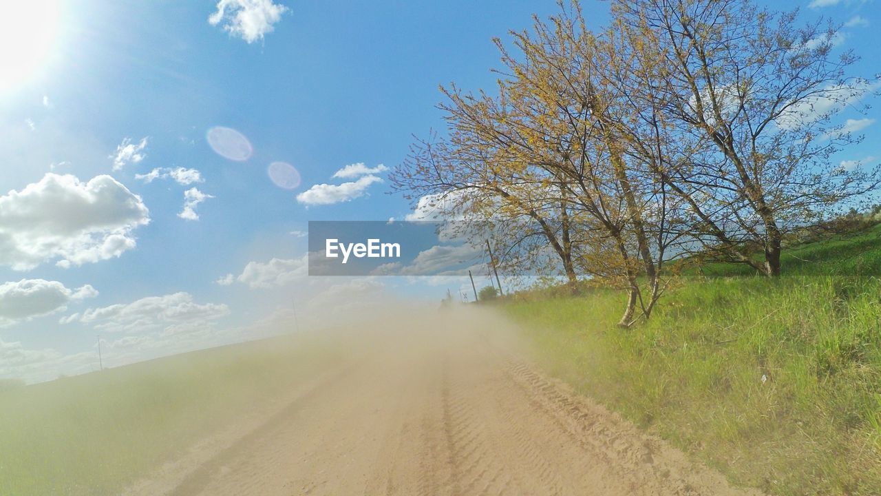 ROAD PASSING THROUGH FOREST