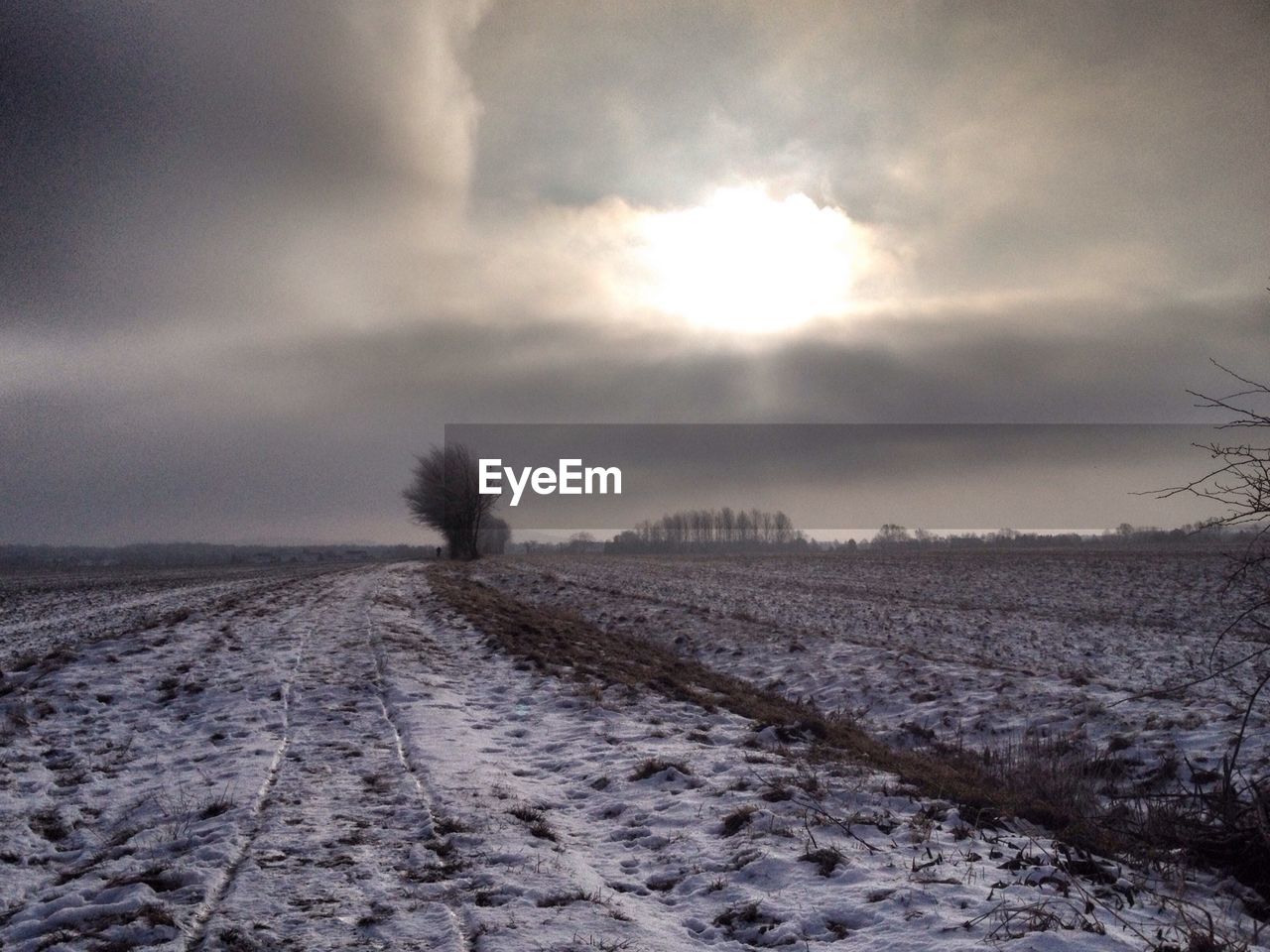 Surface level of snow covered landscape