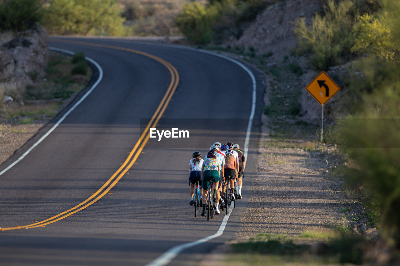 Rear view of people riding bicycles on road toward a curve in morning sunlight