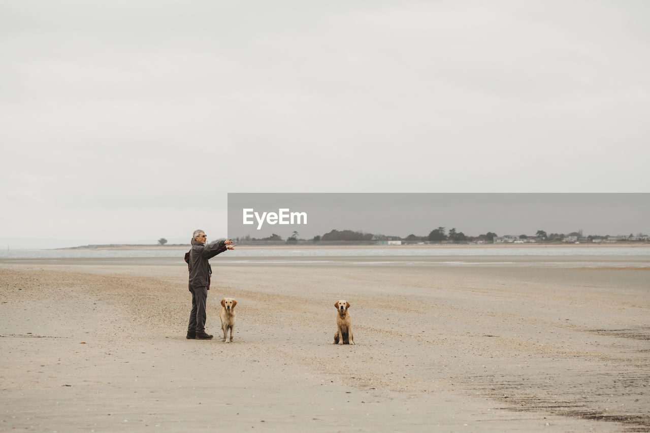 Elderly couple with two dogs on beach pointing off camera