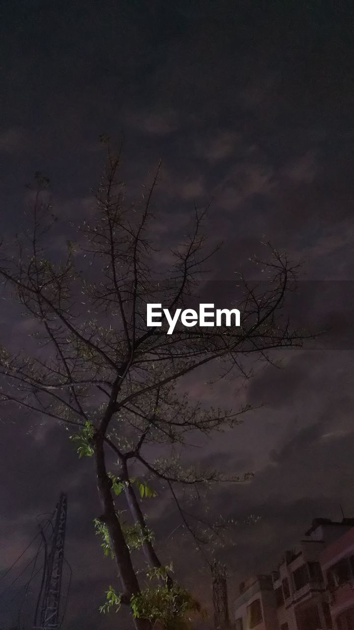 LOW ANGLE VIEW OF BARE TREE AGAINST SKY