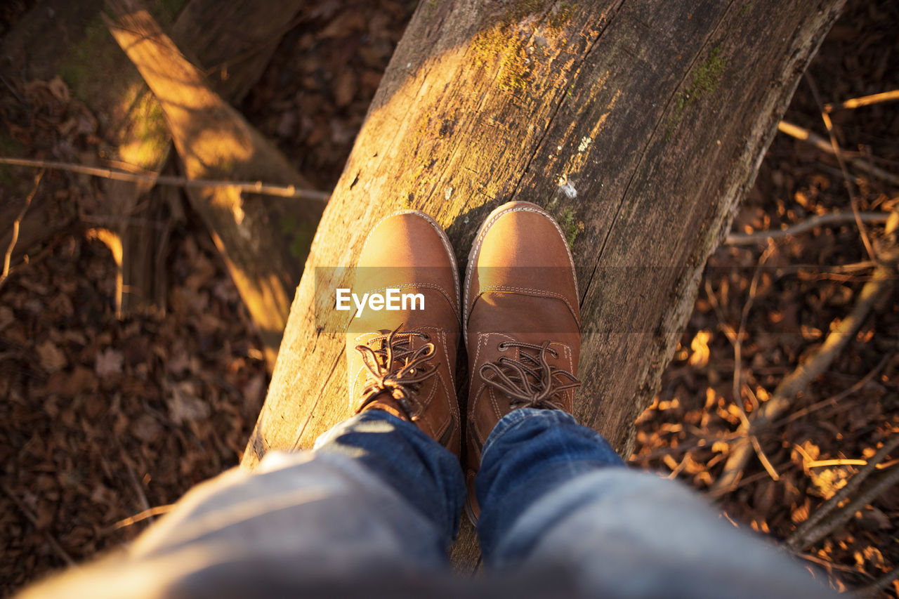 Low section of man standing on wood in forest