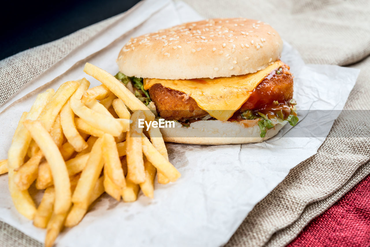 High angle view of burger with french fries served on paper