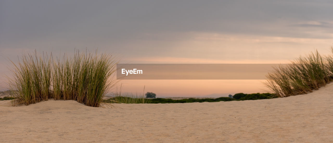 Scenic view of beach against sky during sunset