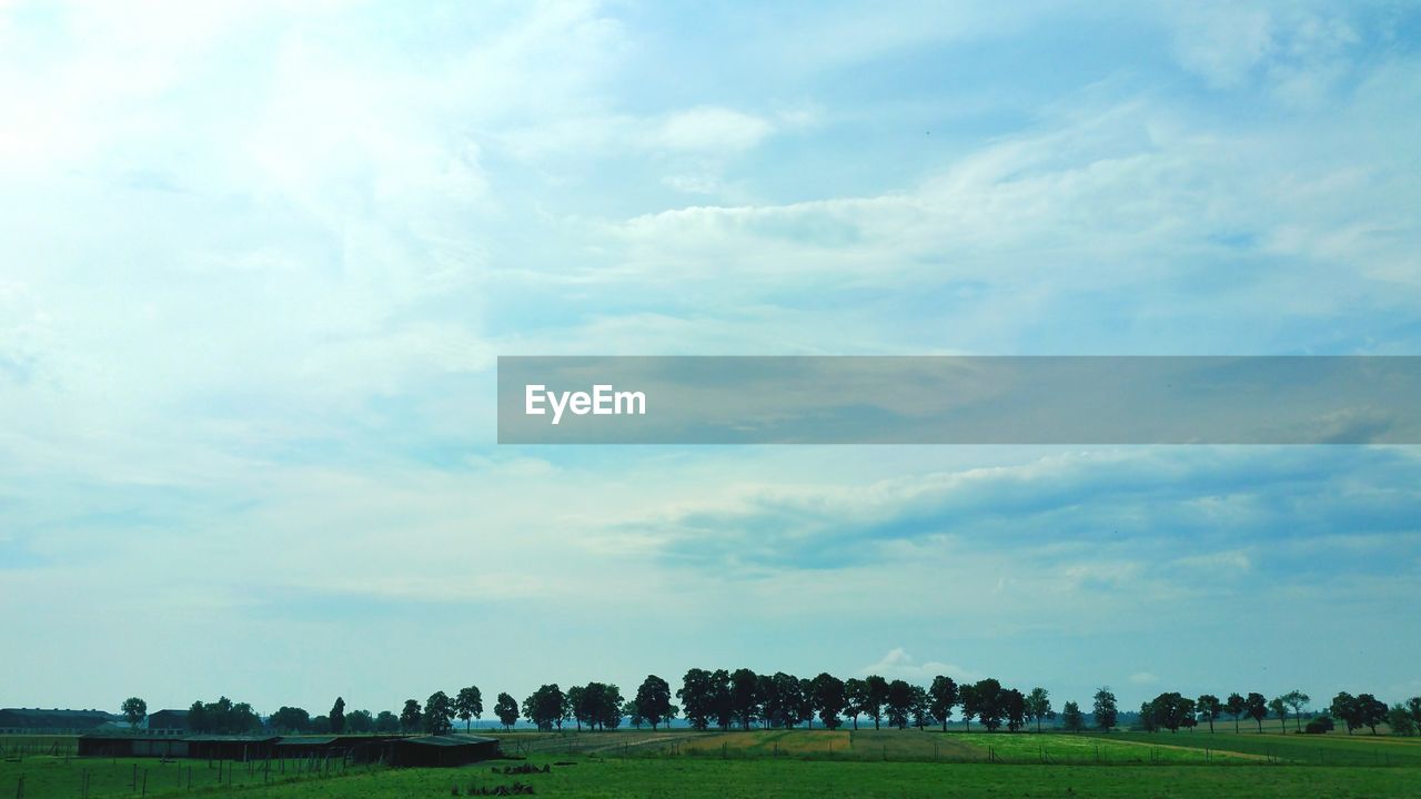 Scenic view of trees on grassy field against cloudy sky