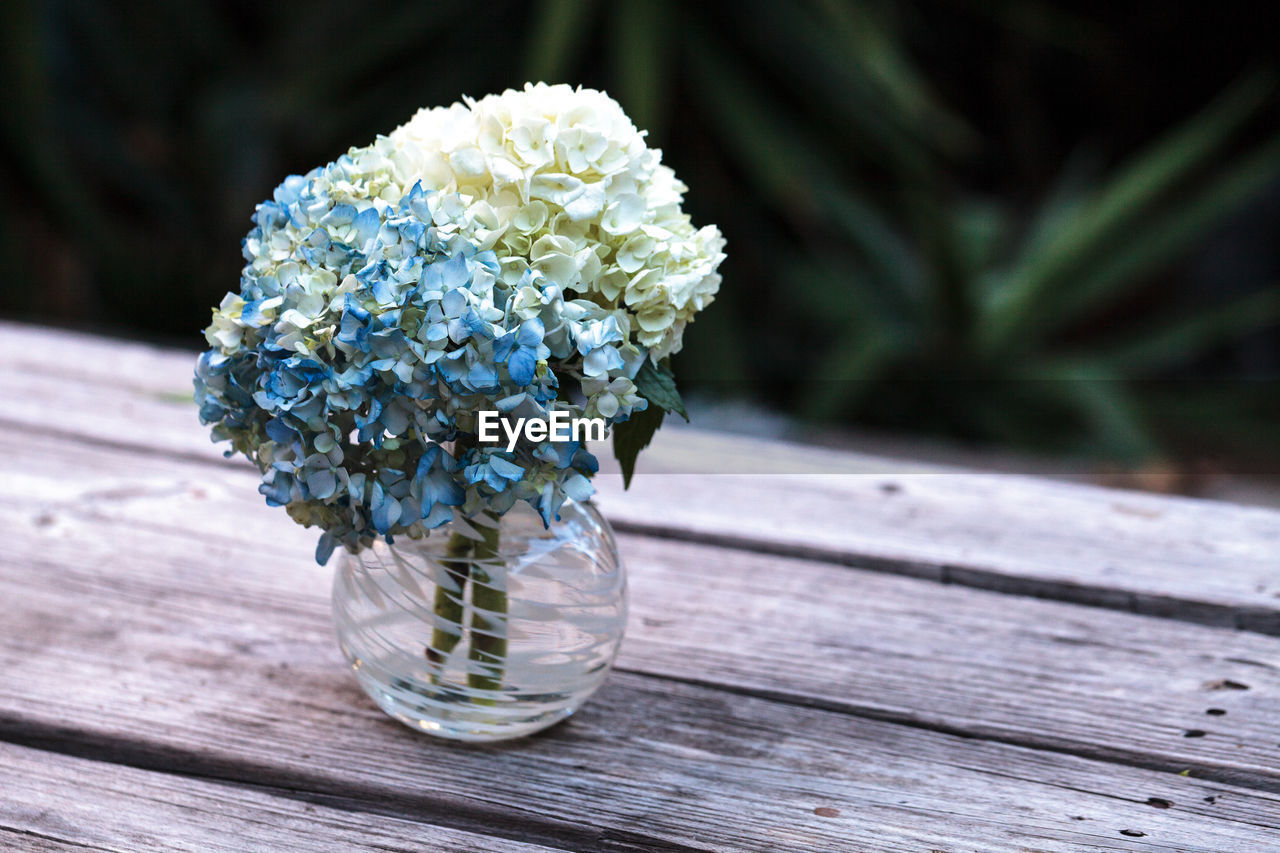 CLOSE-UP OF VASE ON TABLE