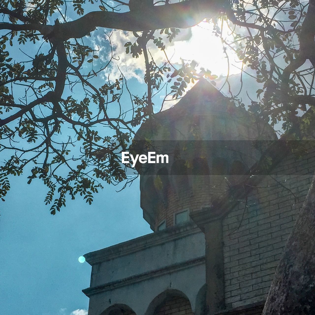 LOW ANGLE VIEW OF CROSS ON TREE AGAINST SKY