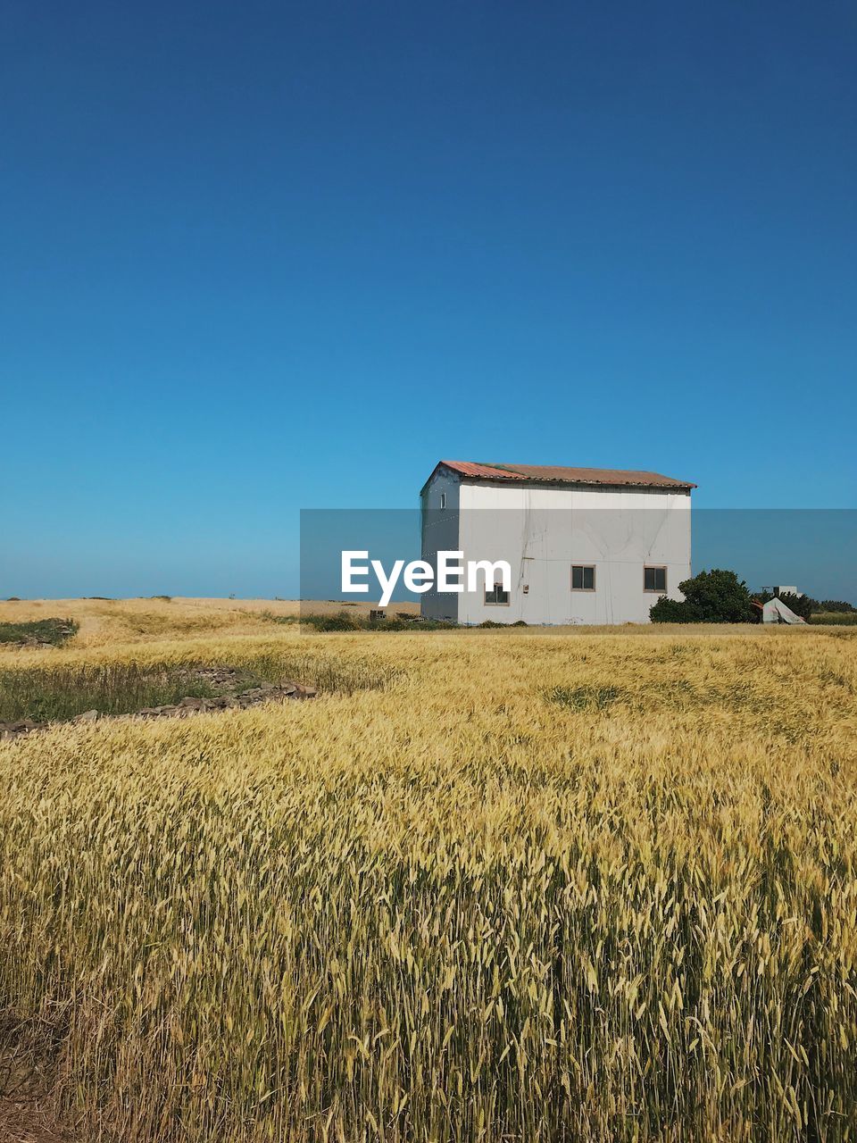 House on field against clear blue sky