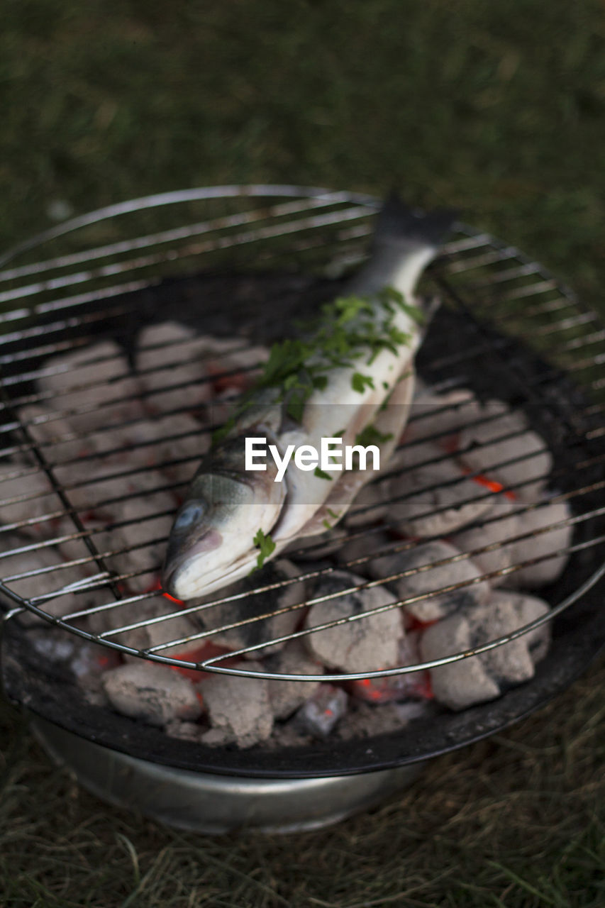 High angle view of fish getting roasted