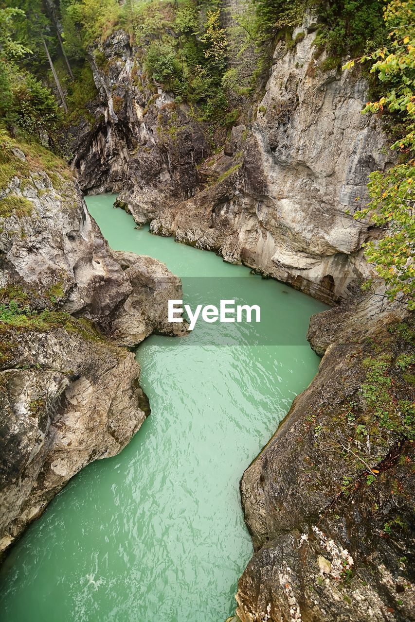 High angle view of trees on landscape