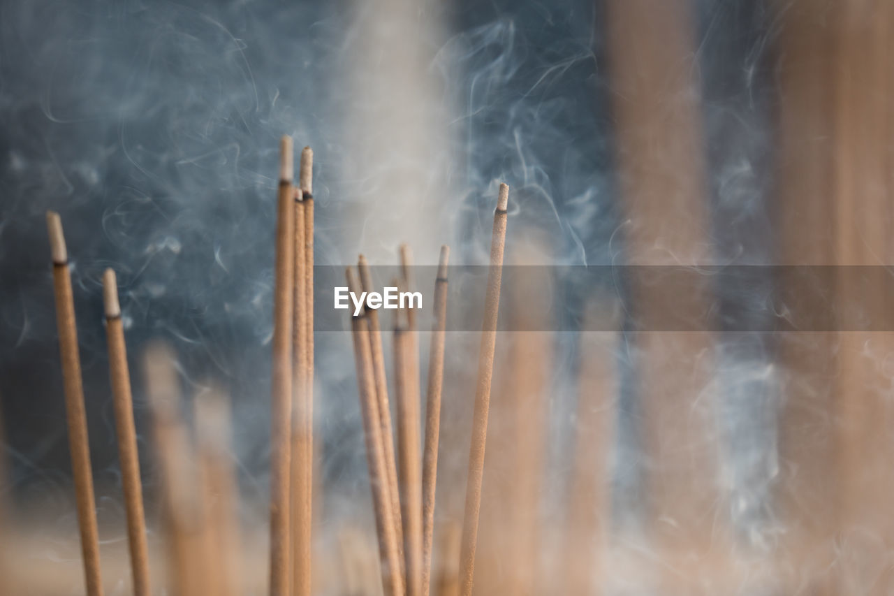 Close-up of burning incenses