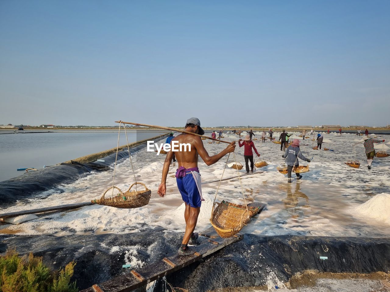 water, sea, shore, sky, nature, beach, coast, men, land, full length, group of people, adult, day, ocean, clear sky, body of water, leisure activity, vacation, women, sunlight, holiday, trip, sunny, standing, wave, sand, lifestyles, outdoors, rear view, blue, copy space, clothing, travel, paddle, summer, motion, young adult, fishing net, beauty in nature, togetherness, sports