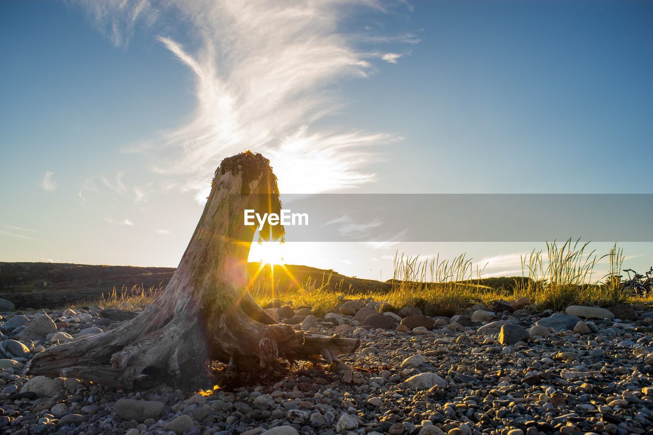 View of rocks on beach against sky