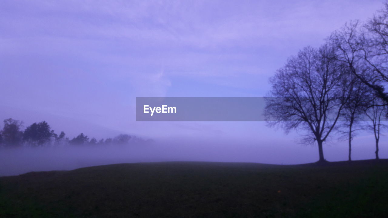 TREES ON FIELD AGAINST SKY DURING FOGGY WEATHER