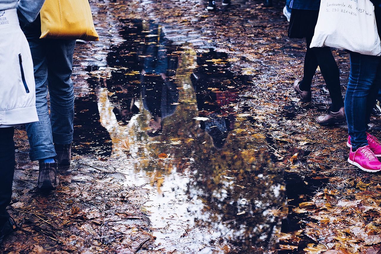 People and trees reflecting on puddle during winter