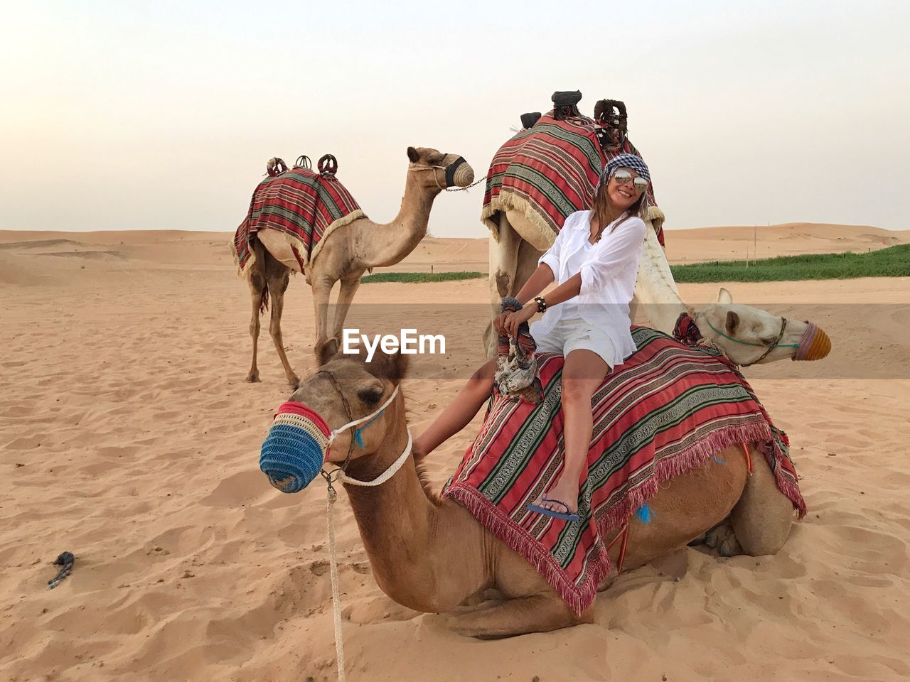 People riding camel in desert