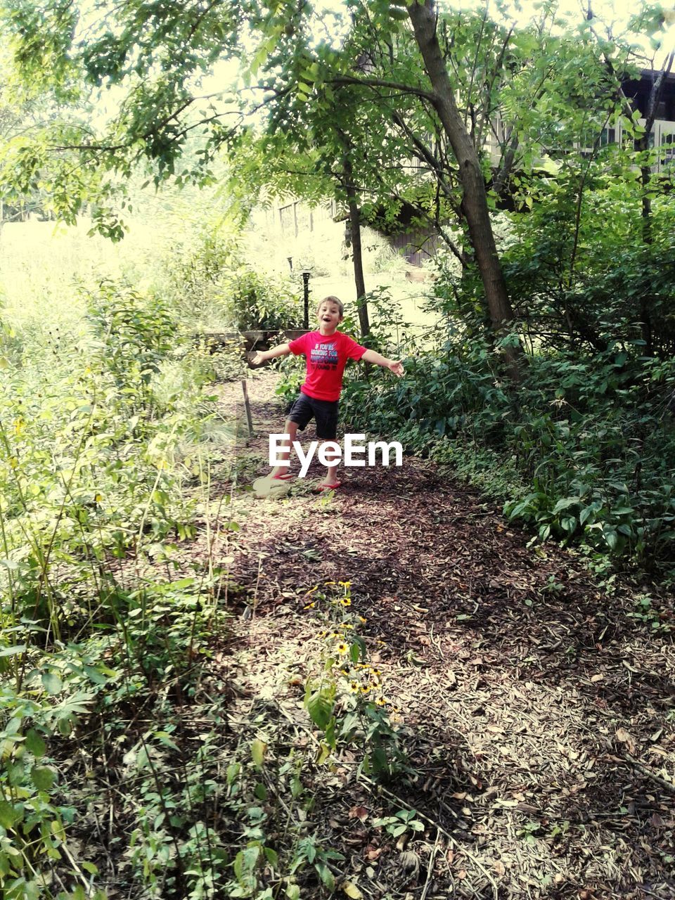 WOMAN STANDING AMIDST PLANTS IN FOREST