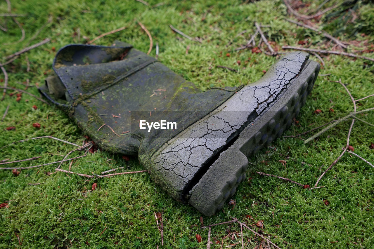 High angle view of abandoned shoe on grass field